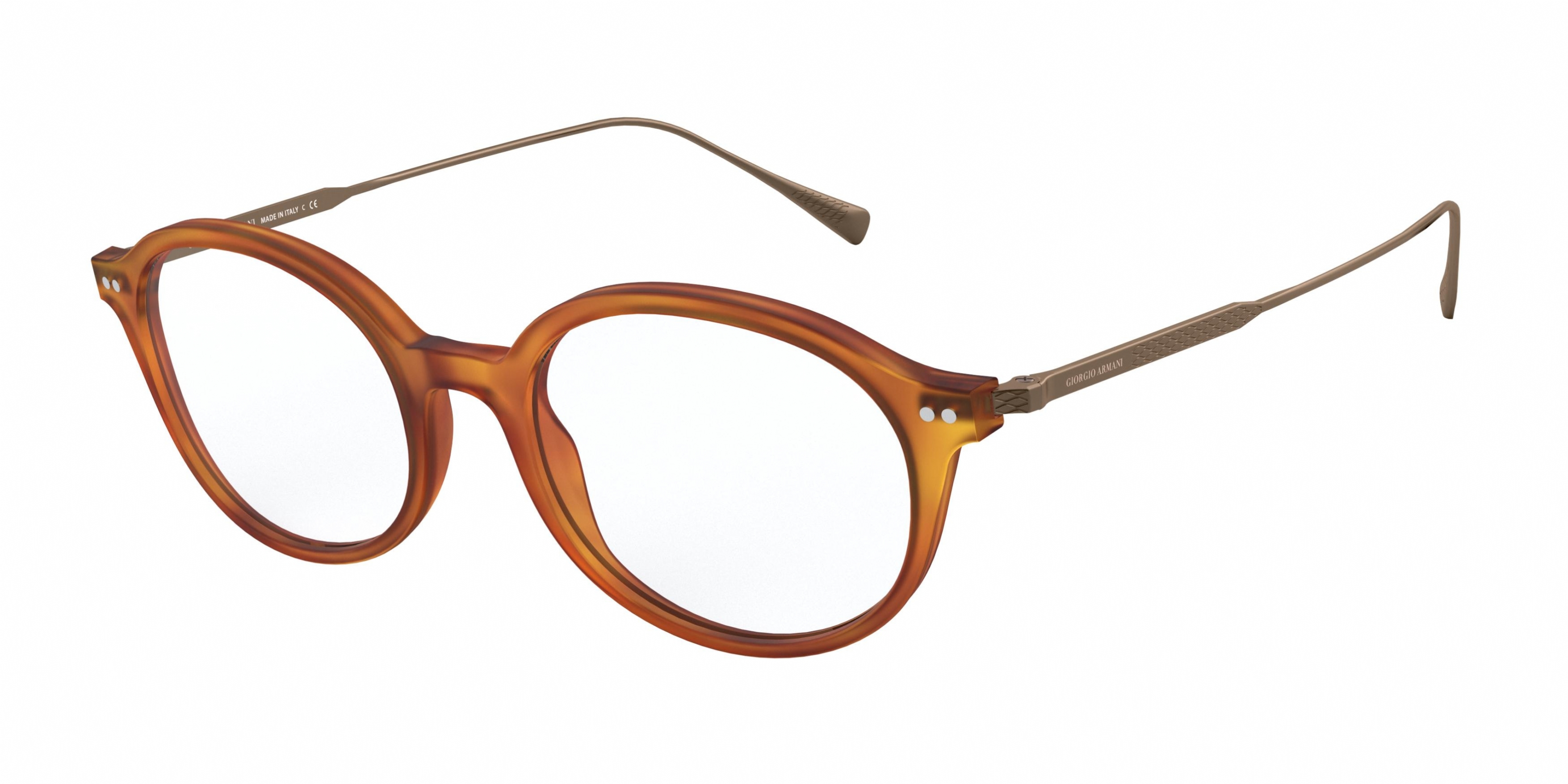 GIORGIO ARMANI 7181F 5813