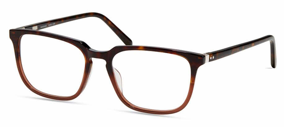 MODO 6543 TORTOISETOBROWN