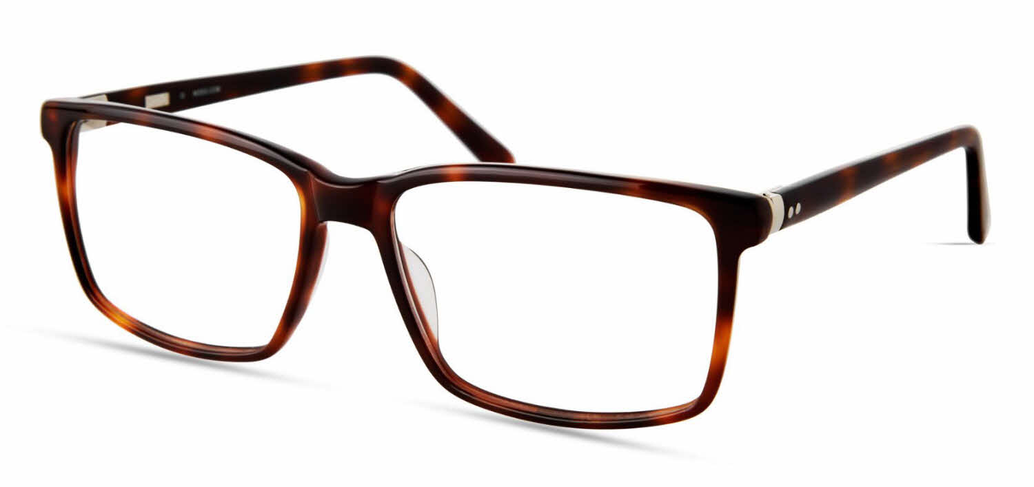 MODO 6562 BROWNTORTOISE