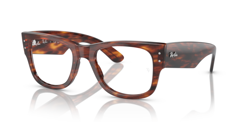 RAY BAN 0840V 2144