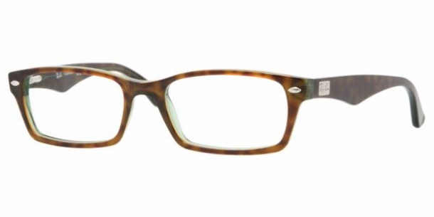 RAY BAN 5206 2445