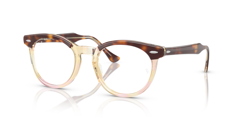 RAY BAN 5598F 8402