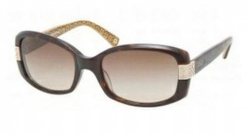 dsquared2 eyewear optical collection