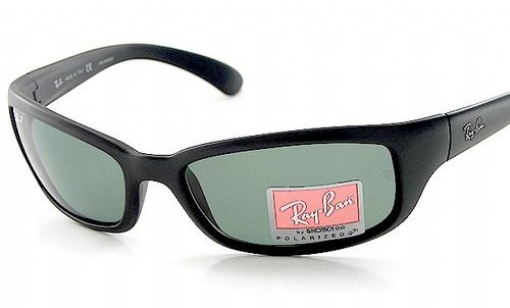 Ray Ban 4037 Sunglasses