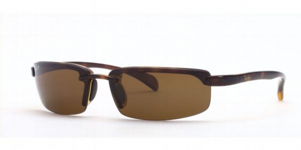 Ray Ban 4051 Sunglasses