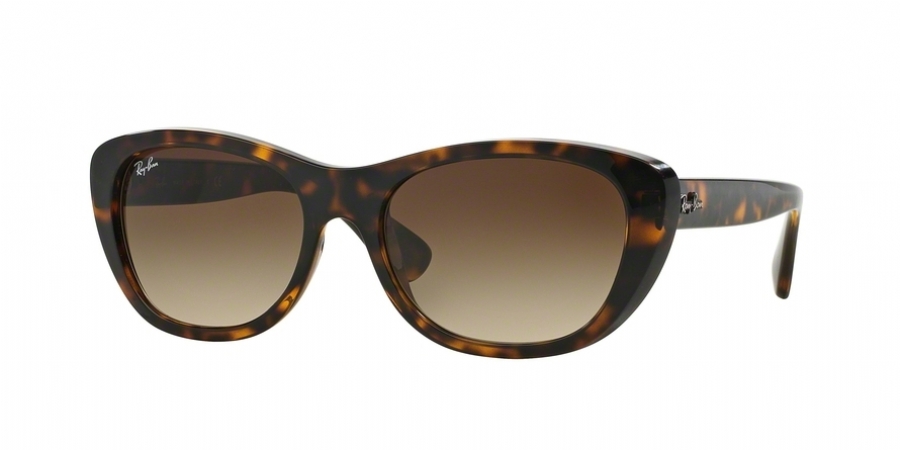 Ray Ban 4227 Sunglasses